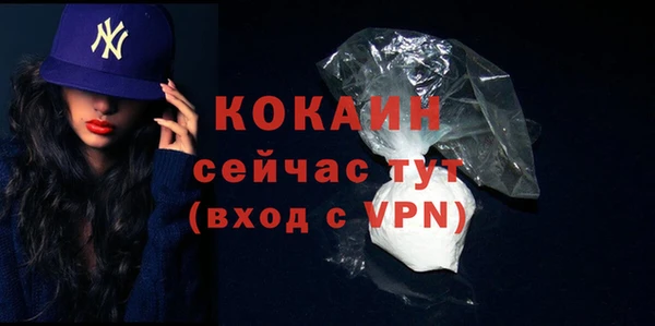 мдма Снежногорск