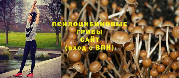 дмт Снежинск